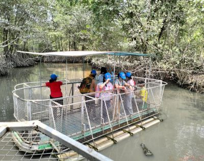 Visit Vam Sat – Crocodile fishing – Bat lagoon 1 day