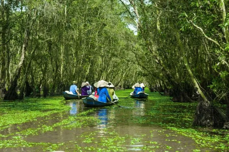 Can Gio Mangrove Forest – 1 Day